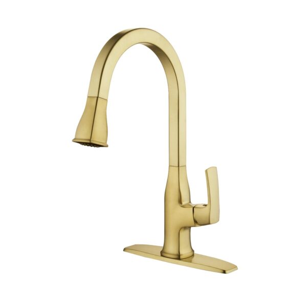 192-7156 Cardania Single Handle Kitchen Faucet