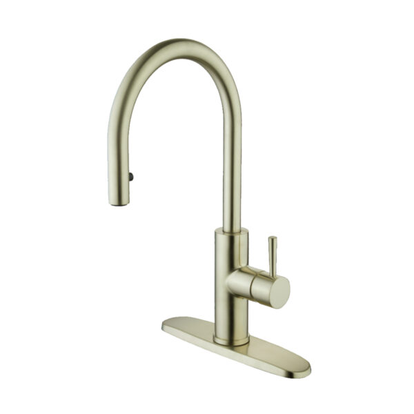 192-7168 Casmir Single Handle Kitchen Faucet