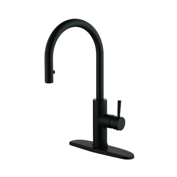 192-7169 Casmir Single Handle Kitchen Faucet