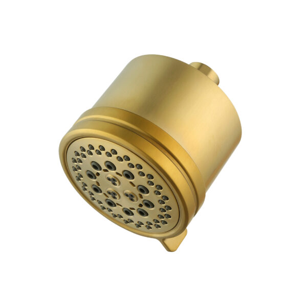 192-7282 Six Function Shower Head Only